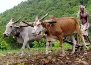 Farmer