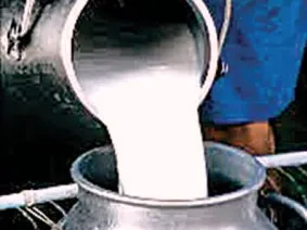 MILK