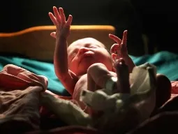 New Born Baby