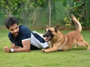 Shibiraj with a Belgian Shepherd ( pic source-thehindu.com)