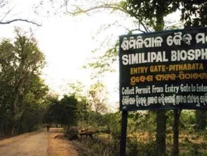 Simlipal