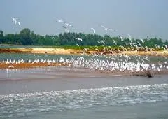 Photo Courtesy: odishatourism.org