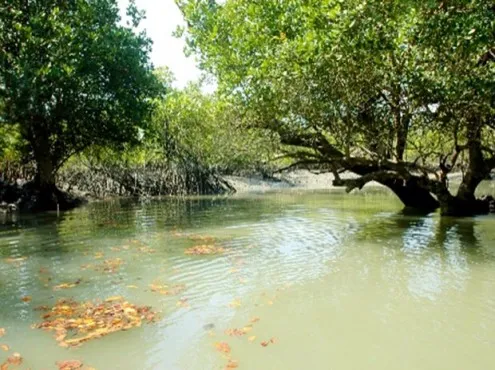 (Courtesy-westbengaltourism.gov.in)