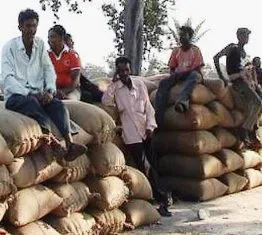 Framers_are_strike_with_paddy_at_Kalimela_block_Mandi_1188