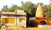 Patsani mutt