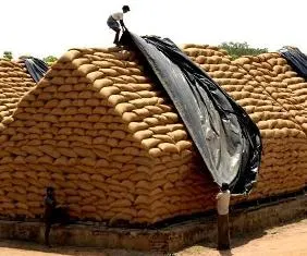 (courtesy:www.indiaafricaconnect.in)
