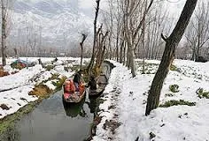 leh cold wave