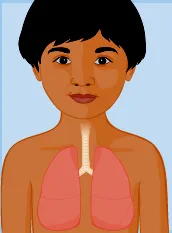 (courtesy:www.www.brennerchildrens.org)