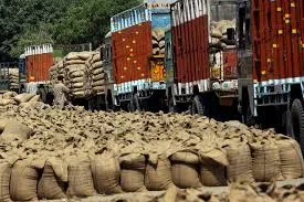 wheat laden trucks