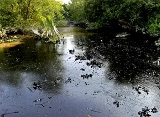  Pic courtesy: www. robinwestenra.blogspot.com
