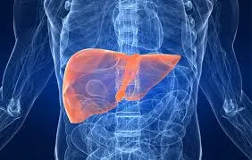 LIVER