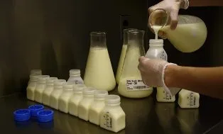 MILK BANK