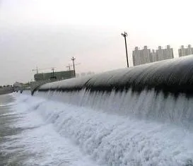 pic courtesy: www.tjskl.org.cn