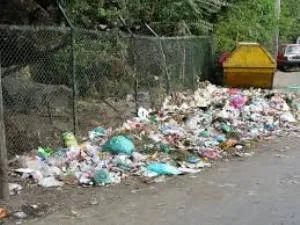 littering