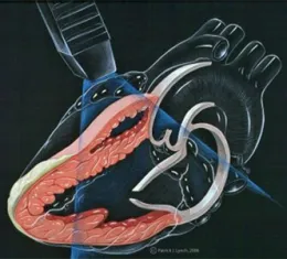 Courtesy:www.icord.org)