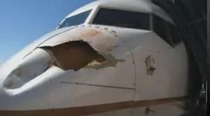 An aircraft damaged by bird hit File PIc Courtesy: gawker.com