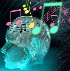 Pic courtesy:www. neurowiki2013.wikidot.com