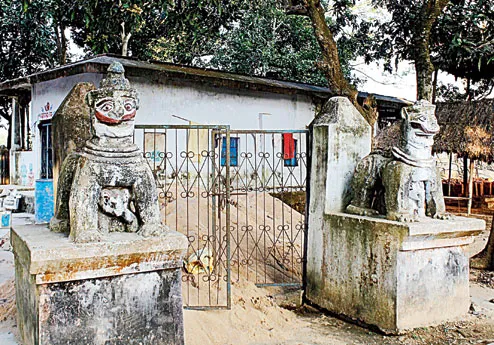 Deuli mutt