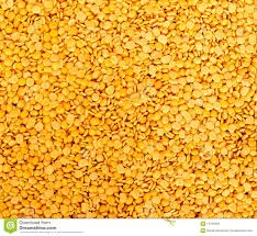 dal