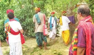 daru khoja