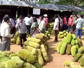 Adivasi Bazar