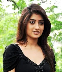 pic: www.tollywoodblog.in