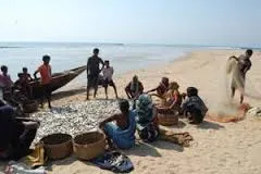 coastal livelihood