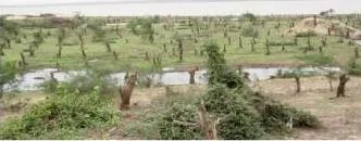 cyclone vulnerable village