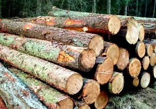 logs