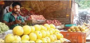 mango market