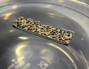 pic: sciencecodex.com