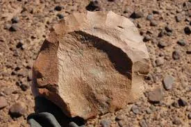 pic: www.sciencetimes.com