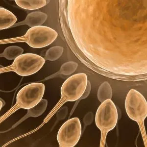 pic: www.fertility-docs.com
