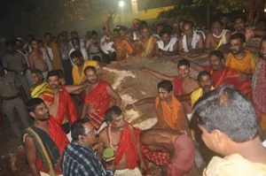The daru identified for making of  Dev Subhadra's idol fell to the ground this evening. (Pic: Biswaranjan Mishra)