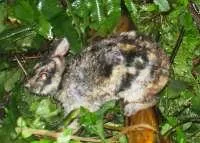 pic: www.eurekalert.org