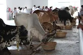 Pic courtesy charaka.co.in