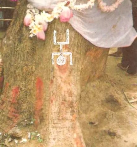 Daru Brukhya