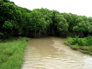 pic; orissa-tourism.com