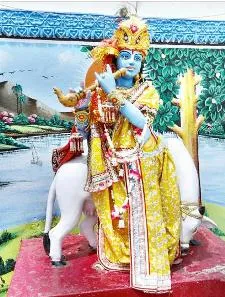 The cement 'milch' cow the Baba drew milk out of to impress his devotees was actually a sleight of hand