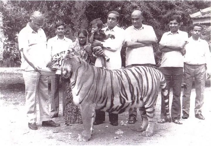Pic: Sudeep Sunderbans Travels