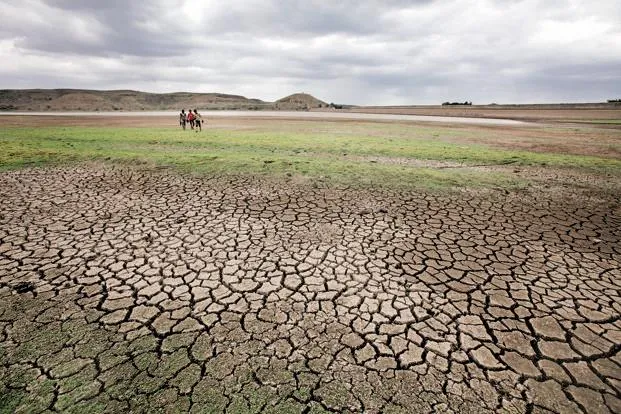 Pic Courtesy: www.livemint.com