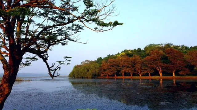Pic: Ratikanta Satapathy
