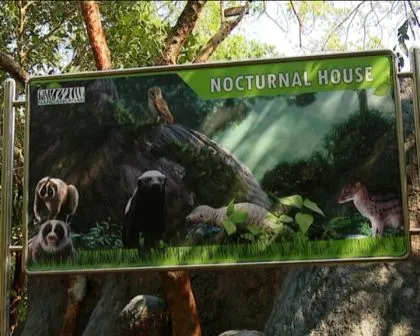 nocturnal house 1