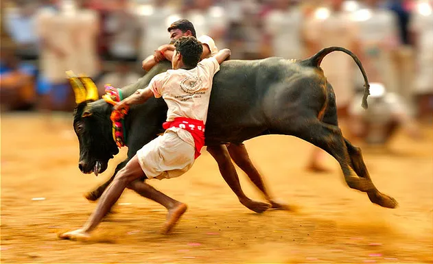 photo:maduraitravelclub.com