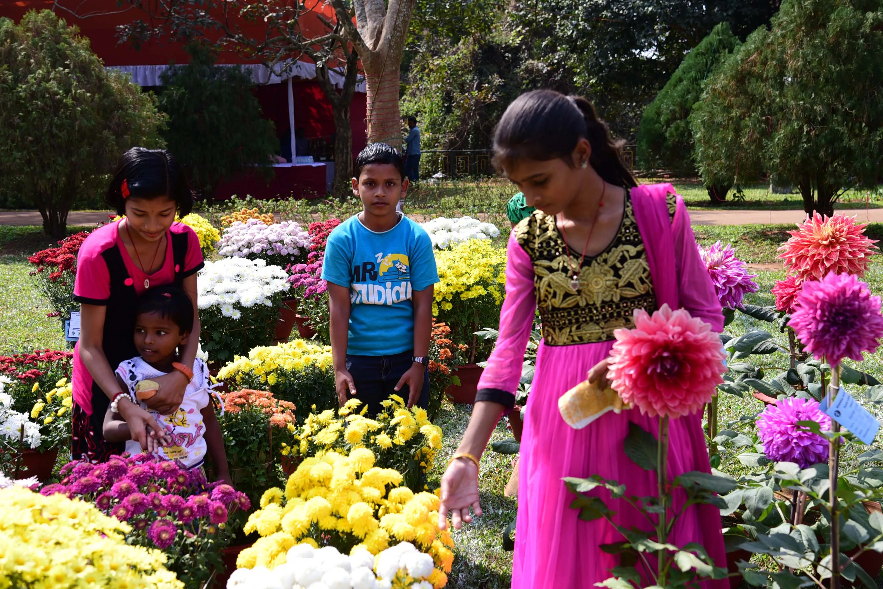 Ekamara ra Park thara Plant Lovers Ass pakhru Annual Flower Show