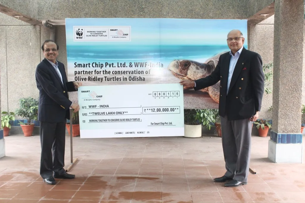 WWF-INDIA to help conserve olive Ridley turtles in Odisha