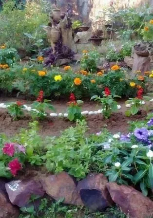 Chumki is an avid gardener too – her garden