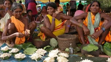 Photo courtesy: www.odishaecotourism.com