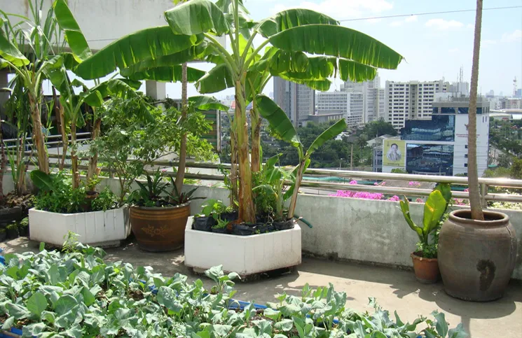 photo:ecoideaz.com