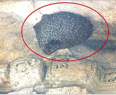 bee hive konark